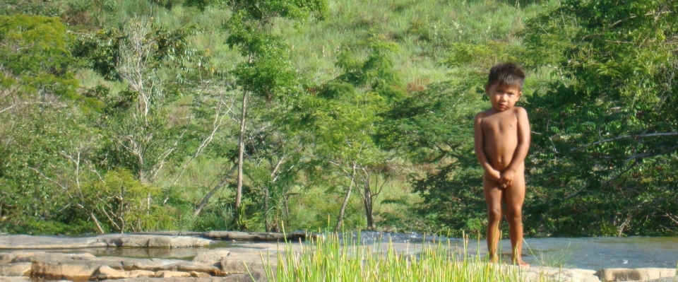 Raposa Serra do Sol